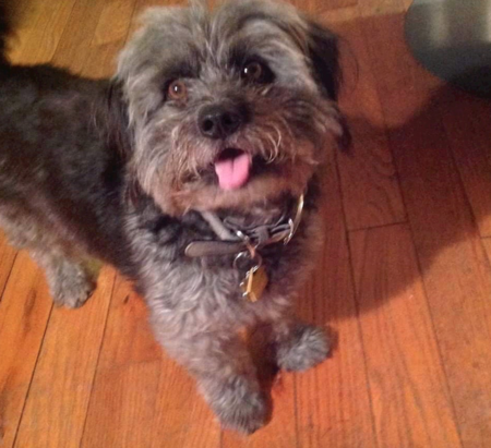 Bentley