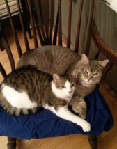 Peeta & Dalton
