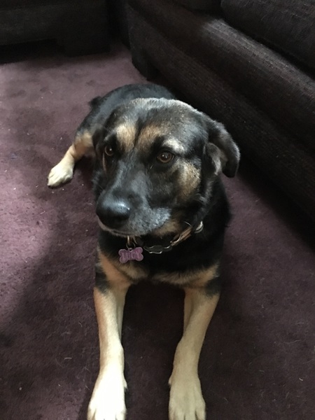 Lulu