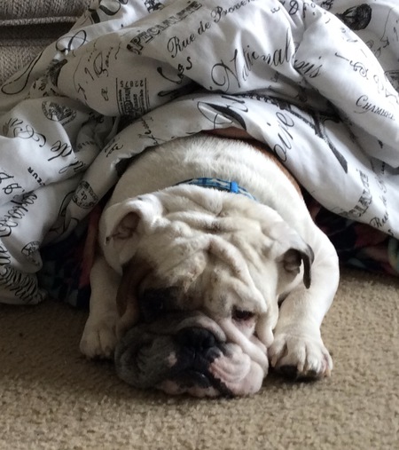 Diesel