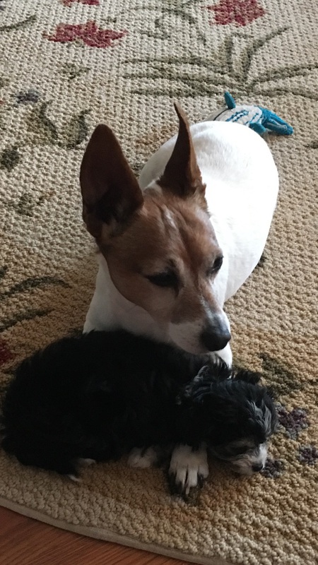 Tori and Lola