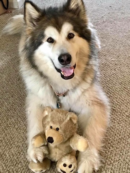 Max