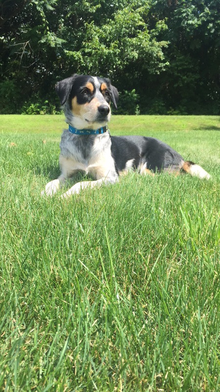 Penny