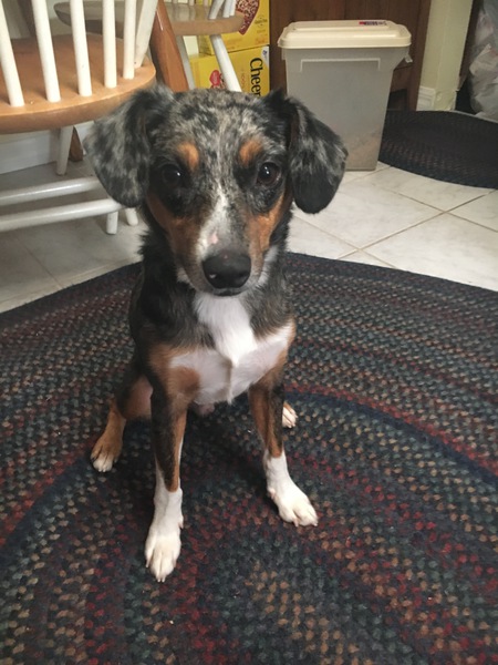 Charlie 