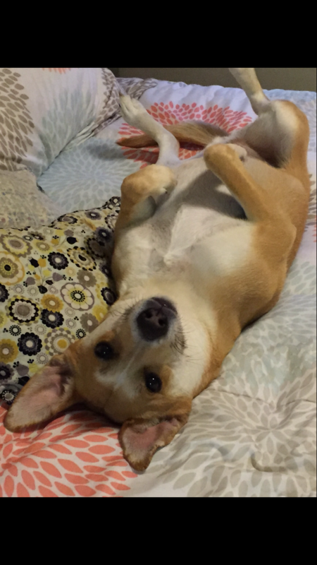 Tyson 