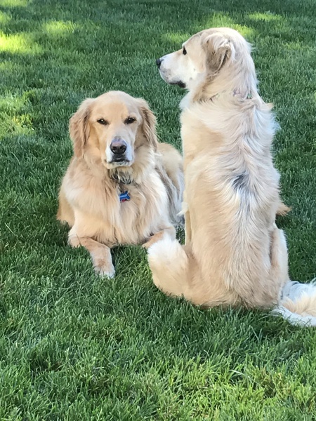 Brinkley and Maggie
