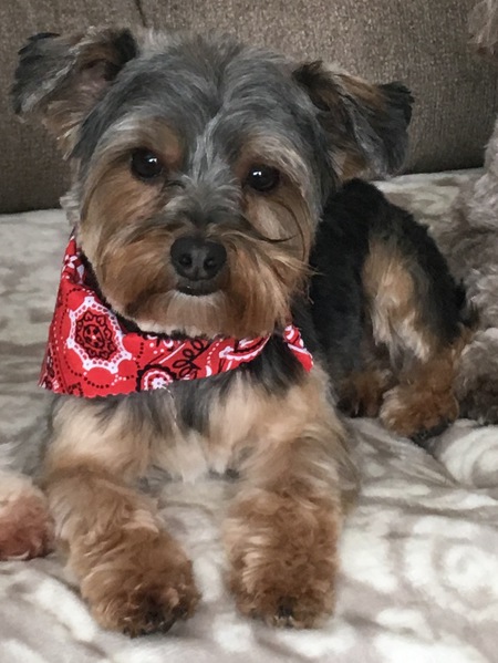 Tucker