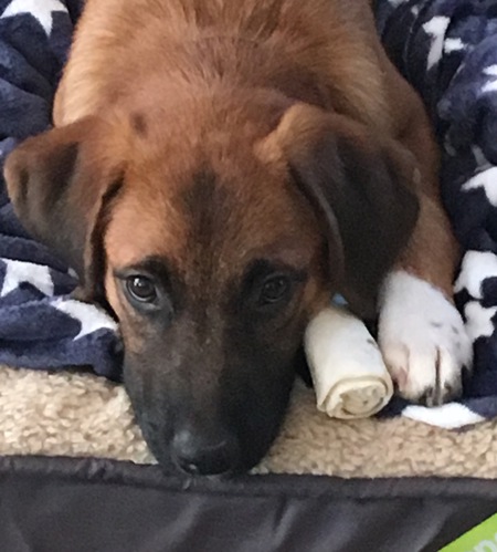 Murphy
