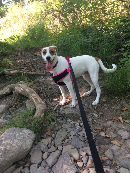 Penny Lane
