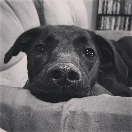 Riley