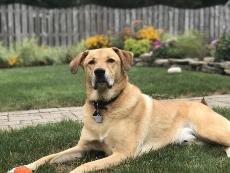 Zeke