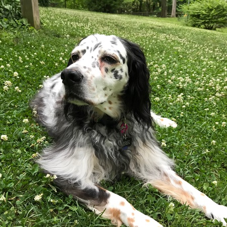 Mia