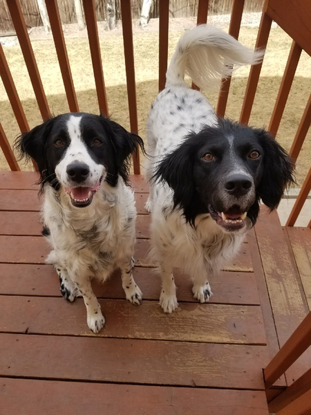 Poppy & Cooper