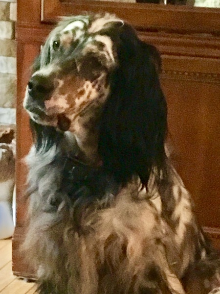 Sammie Jo