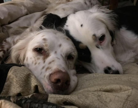 Willow & Rory