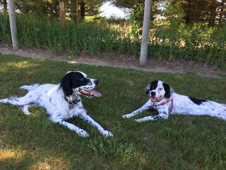Oakley and Oreo