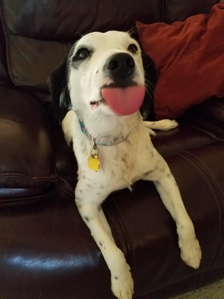 Maggie