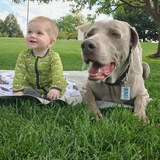 Entry image for Emerson (baby is Milo)