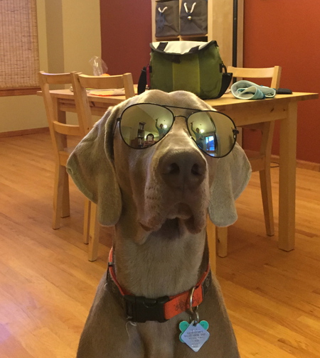 Entry image for Hatch. Clicking this image will show a larger photo