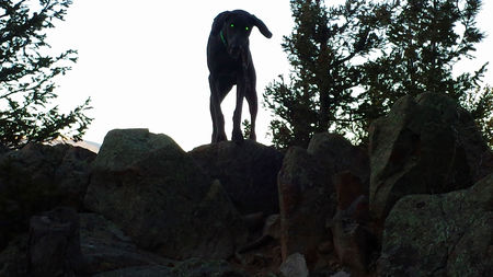 Entry image for Echo. Clicking this image will show a larger photo
