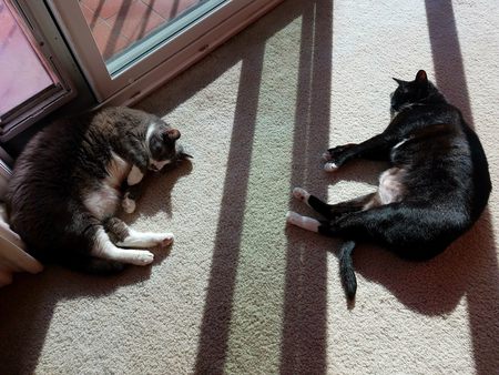 Franklin & Pin