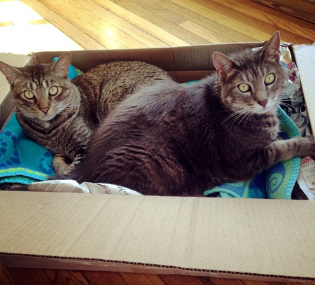 Griffin and Gus