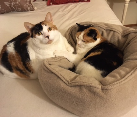 Marigold and Beatrice