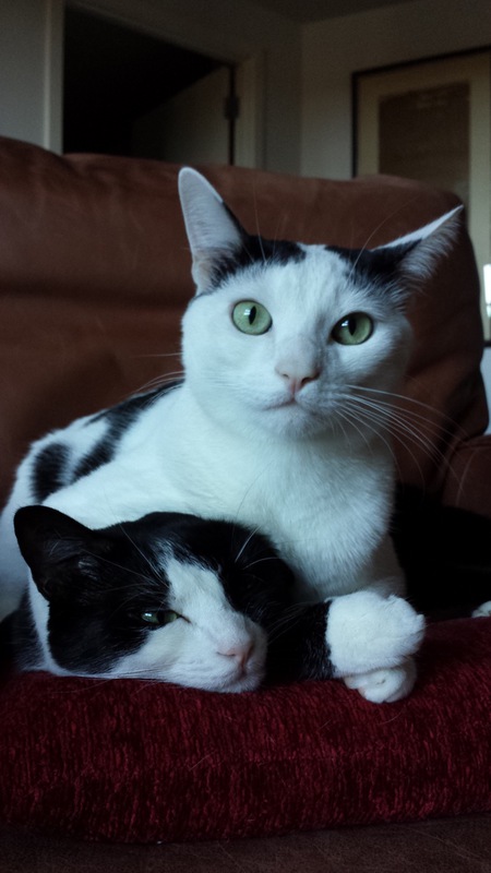 Alphee and Omee