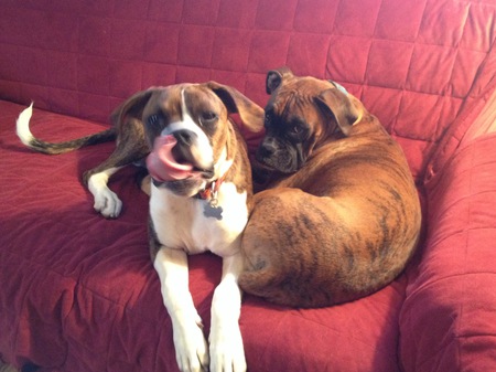 Sophie and Gino