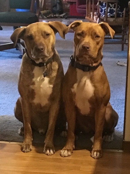 Korben and Ruby