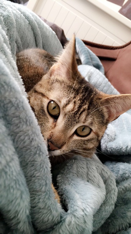 Coco