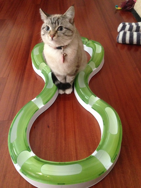 Catrick