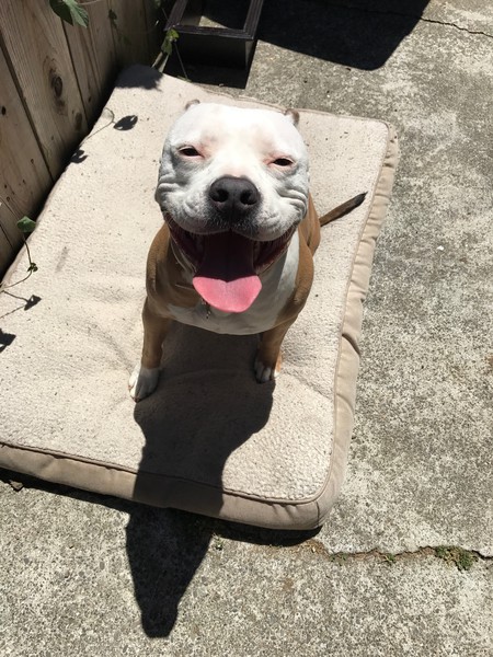 Nala