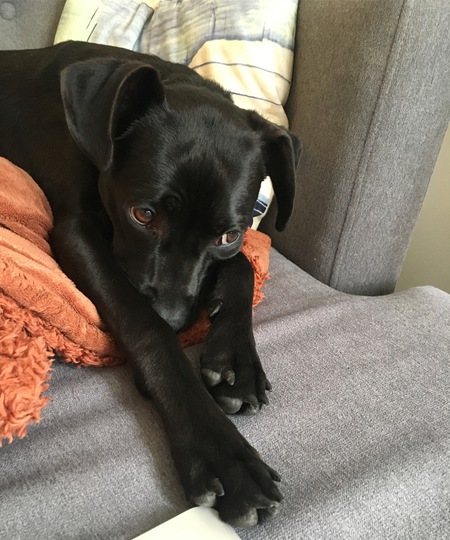 Oliver