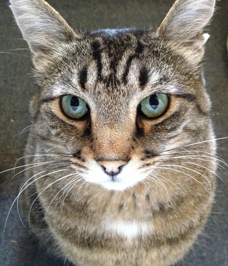 Cortez, AKA Tezzy