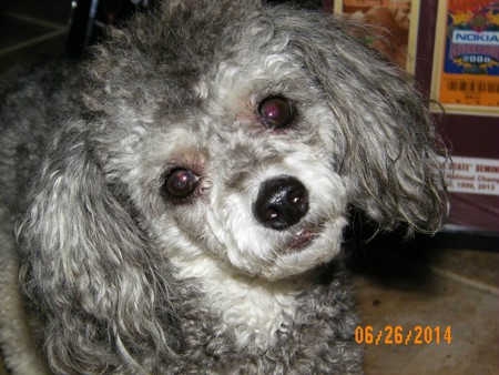 Buster