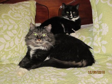 Kali and Loki Baxter