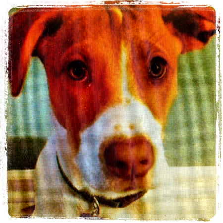 Ruby