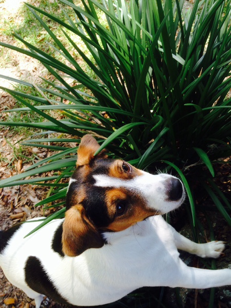 Heidi