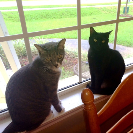 Greyson and Chloe