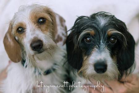 Saltie & Pepper
