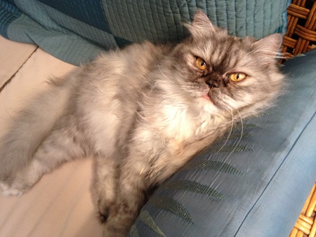 Effie Abita Trinket