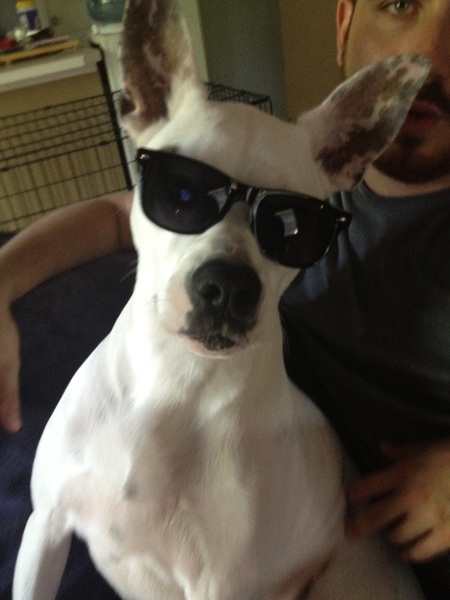 Snoop Dog