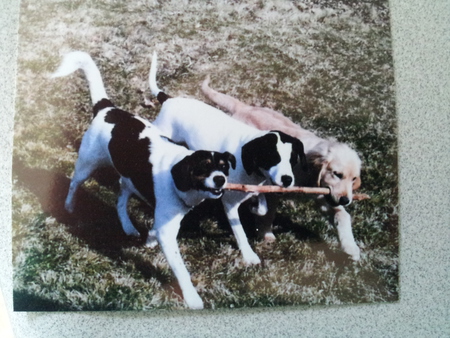 Stanley, Kaci & Henry