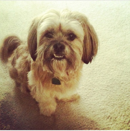 Oliver 