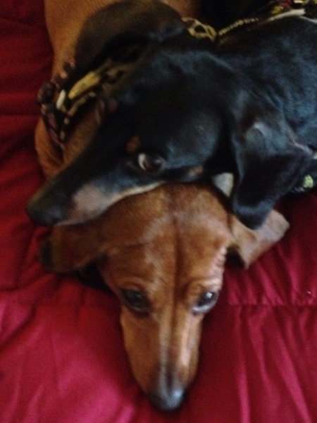 Tiki and Frank Guidry