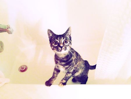 Betty