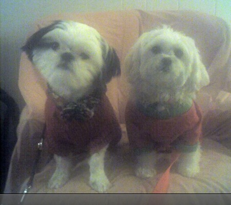 Charlie & Sadie 