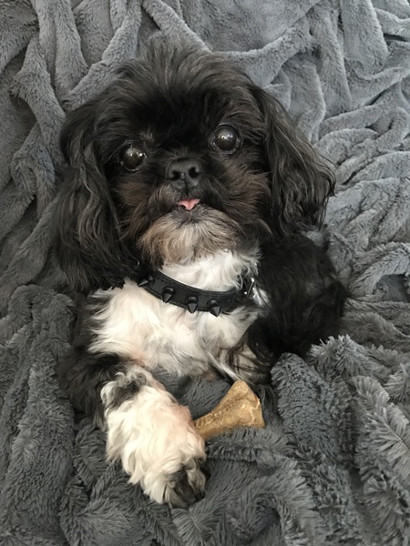 Handsome Hank