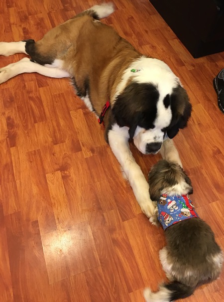 Nayland with friend Barley